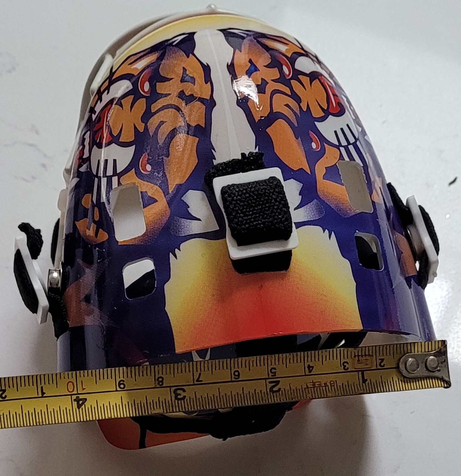 Florida Panthers Hockey Sports Mini Goalie Mask Helmet Stanley Cup NHL 