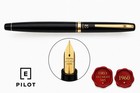 PILOT Stylo Plume Vintage Années 60 Japon, Plume Or 14K