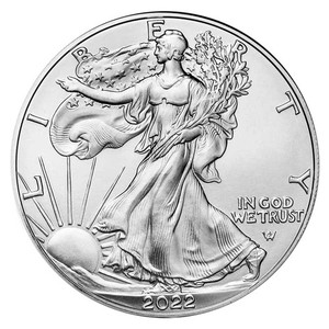 2022 Silver Eagle Type 2 | eBay
