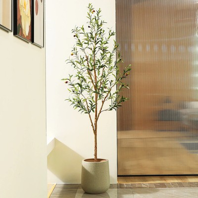 DR.Planzen ZMGGLSJ2HZ1.8m-1 6FT Artificial Olive Tree with Fruits