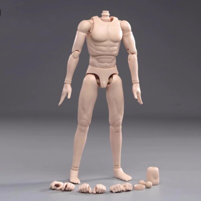 1/6 Scale Male Body Pale Skin Narrow Shoulder 12
