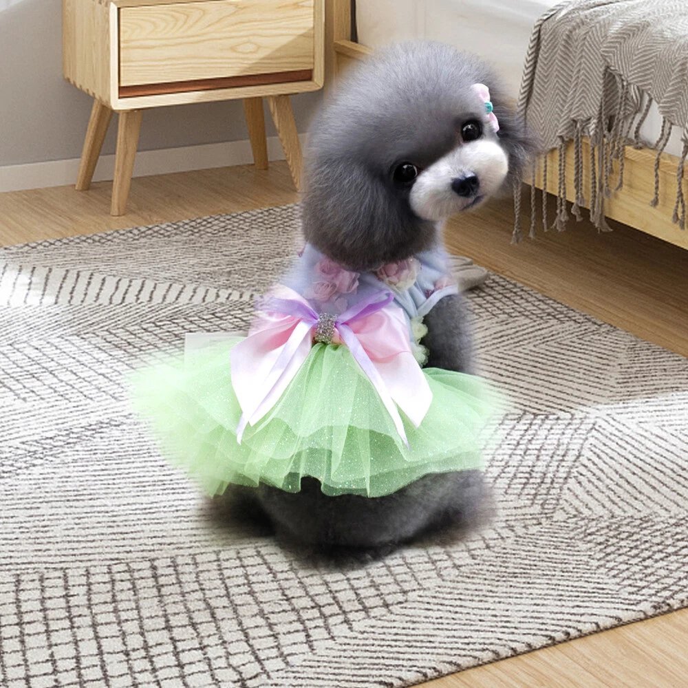 VETEMENTS 5 PEZZI Abbigliamento Estivo per Cani Felpa con Cappuccio per Cani Abbigliamento per Animali Domestici