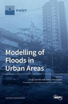 Modelling of Floods in Urban Areas by Jorge Leandro [Hardback, 202 pages]