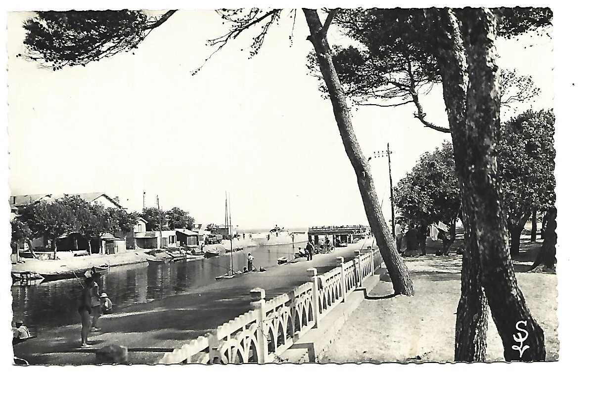 Photo 1/1