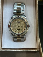 Hcandice Swiss Ruby Men’s Watch 