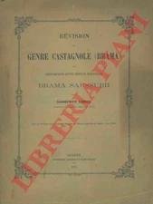 LUNEL Godefroy - Revision of the genus Castagnole (Brama) and description of a species