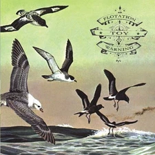 FLOTATION TOY WARNING - Bluffer's Guide To The Flight Deck - CD - **Mint**