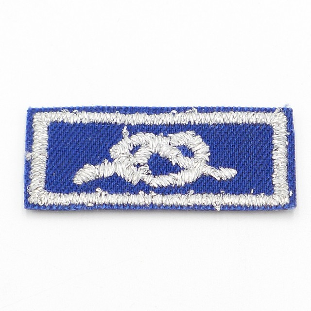 Boy Scout District Award of Merit Blue and Silver Knot Patch BSA eBay