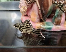 Vintage Old Antique Aquarium Fishbowl Beautiful Zebra Plecostomus Collector Pin