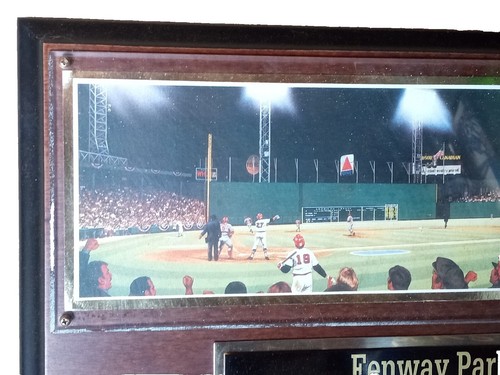 Fanatics Under Wraps MLB Carlton Fisk Autographed Baseball | eBay