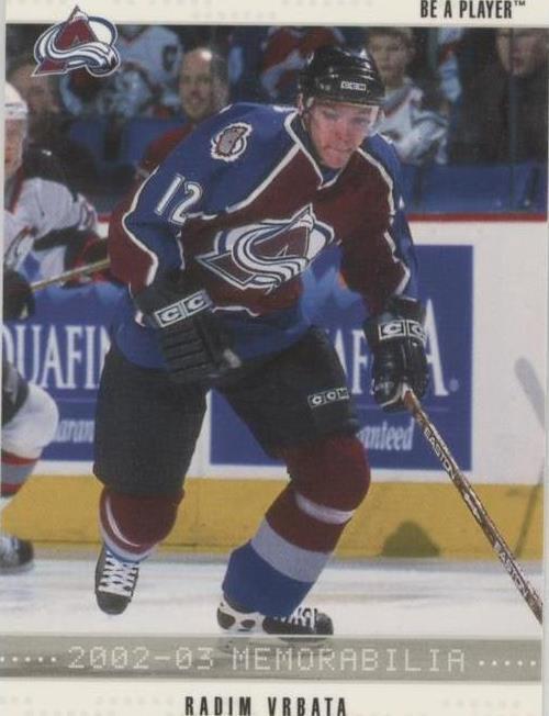 2002-03 In the Game Be A Player Memorabilia - Radim Vrbata #193 - 1 of 1