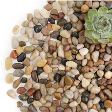 3Lb River Rocks for Plants Indoor, 1/5 Inch Mixed Pebbles for Vase Fillers, Deco
