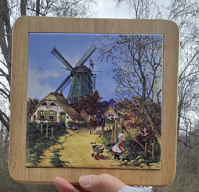 Ter Steege Holland Delftware Hand Decorated Wall Plaque Windmill Country Cottage