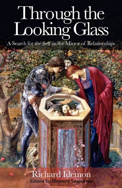 Through the Looking Glass by Richard Idemon (Paperback Book)
