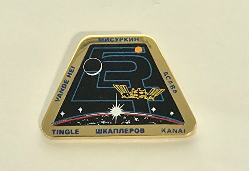 NASA Expedition 54 Lapel Pin - Picture 1 of 1