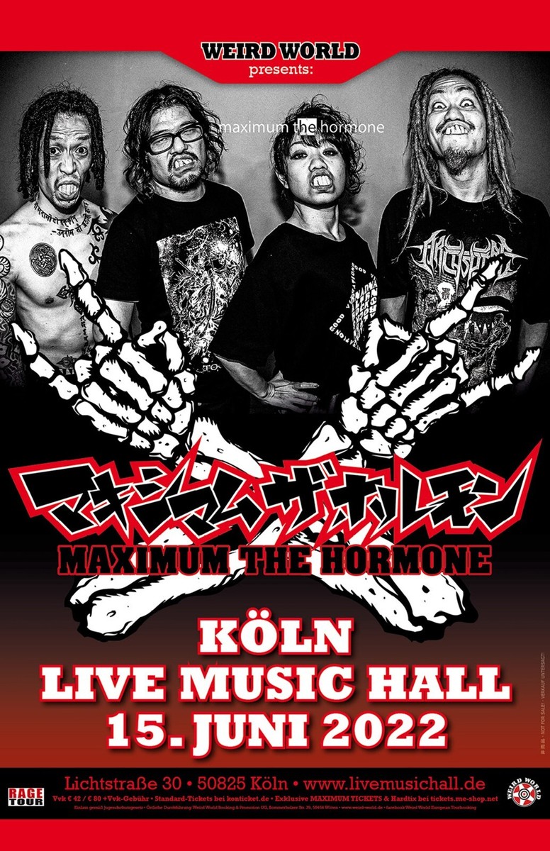 MAXIMUM THE HORMONE ポスター MAXIMUM THE HORMONE POSTER PHOTO PRINT 11X17 TOUR RYO NAO