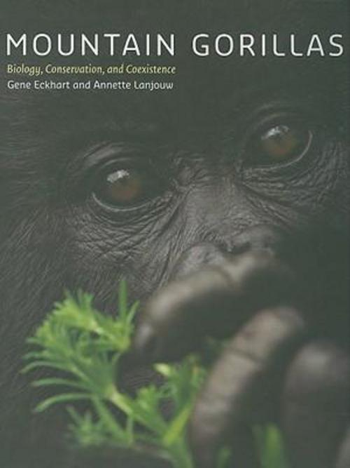 Thumbnail - Mountain Gorillas, Gene Eckhart