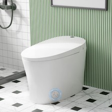 Smart One Piece Toilet with Bidet Heated Seat Auto Dual Flush Night Light White