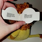 Foto 10 di 10
