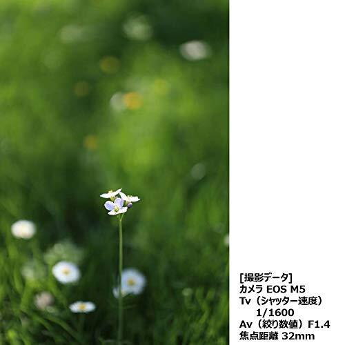 Canon EF-M 32mm f/1.4 STM Camera Lens (2439C002) for sale Canon EF-M 32mm f/1.4 STM Camera Lens (2439C002) for sale
