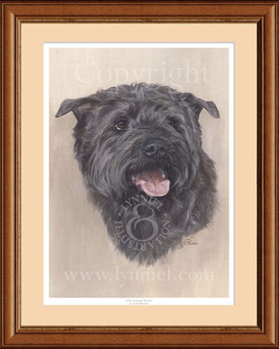 GLEN OF IMAAL TERRIER fine art dog print by Lynn Paterson - 第 1/1 張圖片