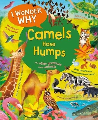 Anita Ganeri I Wonder Why Camels Have Humps (Paperback) I Wonder Why (UK IMPORT)