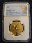 Mexican Gold Libertad 1 oz coin from a recent eBay sale