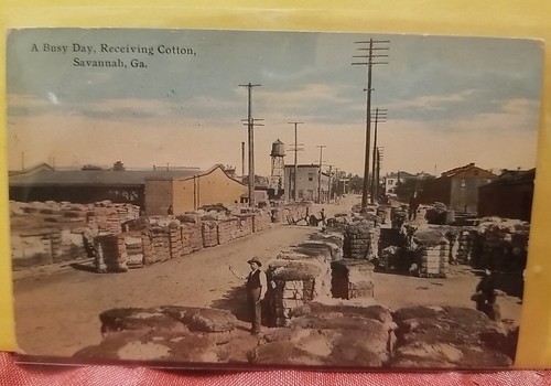 Receiving Cotton Savannah Georgia Colorized Postcard Used Canceled 1911