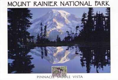 AK MOUNT RAINIER NATIONALPARK PINNACLE SADDLE VISTA Berg Schnee AA13624