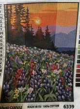 Printed needlepoint Tapestry  Canvas Only 30 X40 Cm Sunset At Sea Rto