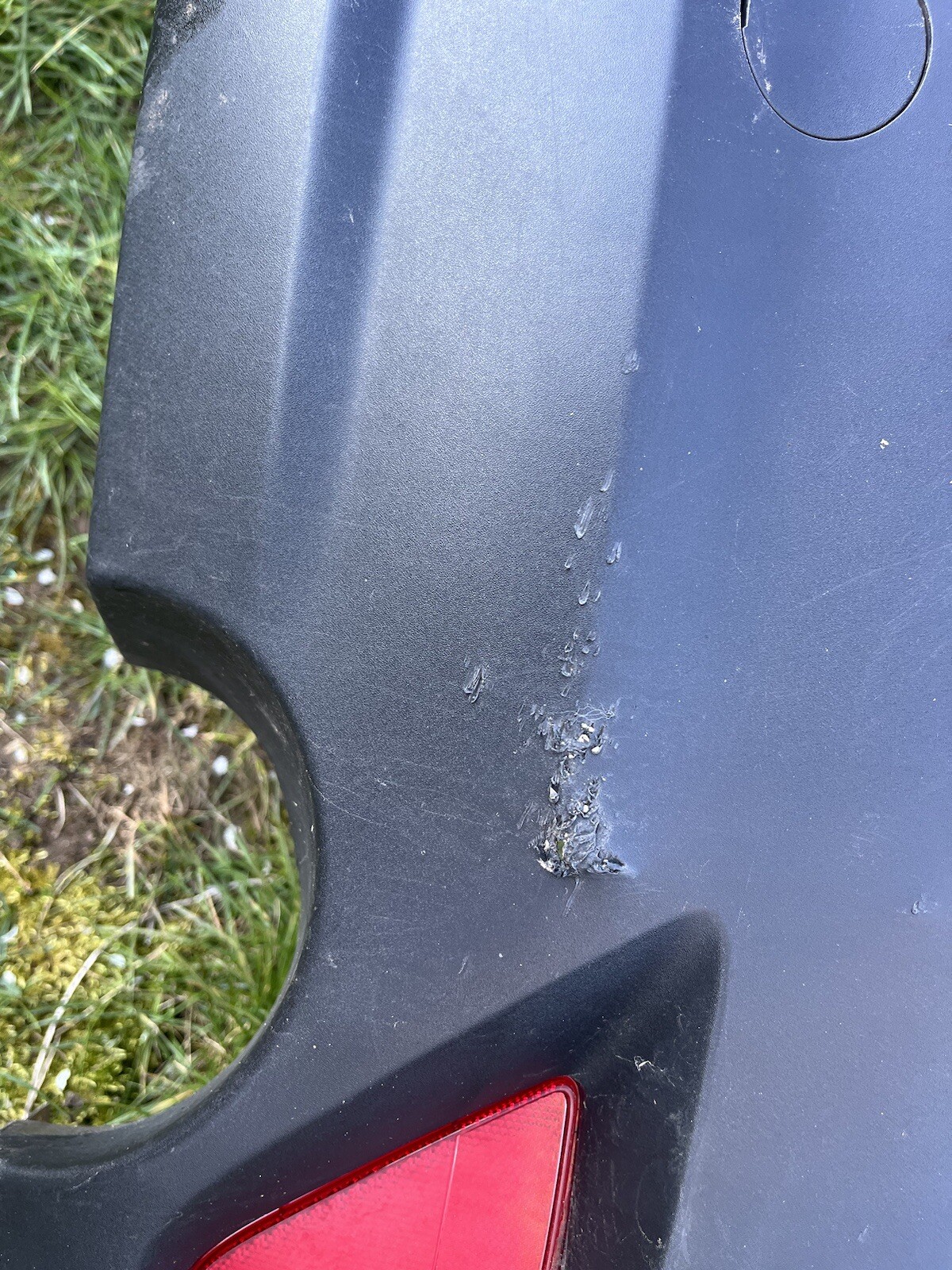 Picture 4 of 5