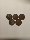lot of 5 indian head pennies