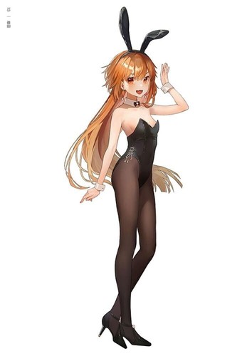 Standing Bunny girl GAKAKU dojin art book 16 artists illustrations yom tachi New - Picture 7 of 7