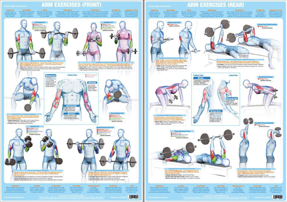 ARM EXERCISES Professional Fitness Strength Training Instructional POSTER  SET