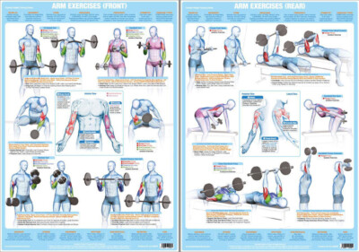 ARM EXERCISES Professional Fitness Strength Training Instructional