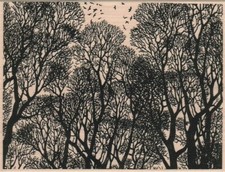 Tree Background 4 1/2 x 5 3/4