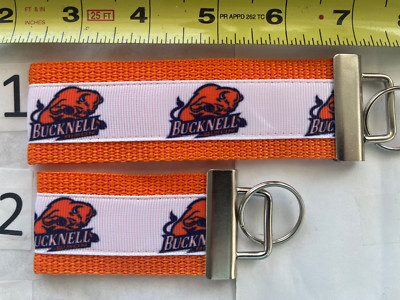 Bucknell University Keychain College Fob Gift 4 Him Her Grad Bucky the Bison BFF