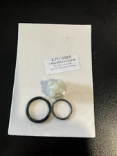 Hotsy Check Valve Kit 8.717-590.0