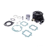 Zylindersatz Standard Grauguss FüR Suzuki AY 50 WR LC Katana Bj. 1999-2001