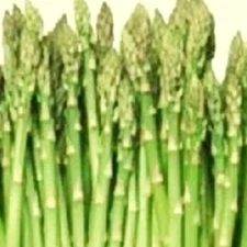 Mary Washington Asparagus Seeds | NON-GMO Asparagus Seeds Heirloom Garden Seeds