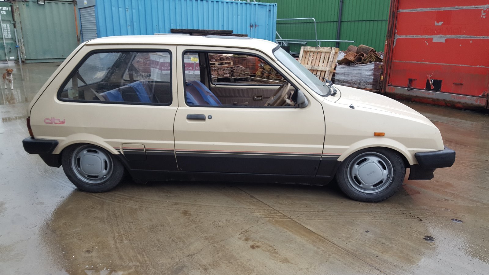 s-l1600.jpg
