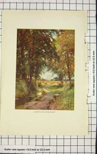 Original Old Antique Print Colour View Shady Lane Didcot Trees Nature