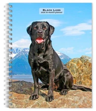 Black Labrador Retrievers | 2026 6x7.75" Spiral-Bound Weekly Engagement Planner