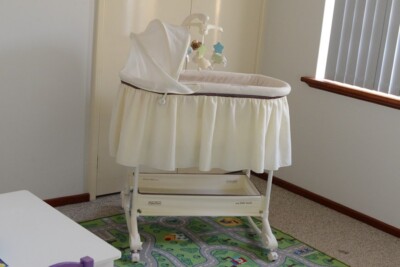 lamb bassinet