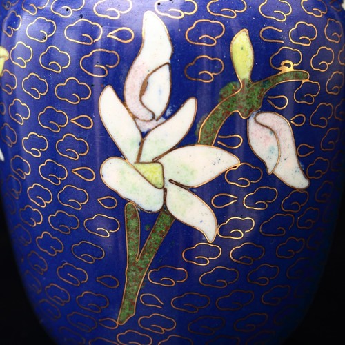 Vaso cloisonné cinese fiore bianco su sfondo blu - Foto 11 di 19