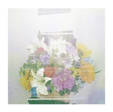 Yorushika Natsukusa Ga Jyama Wo Suru (CD)