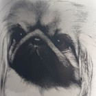 Pekingese Dog Rosalinde Vladimir Tzenov Cookie Treat Jar Canister Best Of Show95 — photo 4