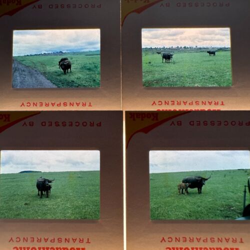 Lot Of 18 Vietnam War 1969 Era Kodachrome Transparency Photo Slides Nature Scene - Picture 2 of 8