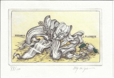 ELLY DE KOSTER: Exlibris für J. Plambeck "Welwitschia mirabilis"