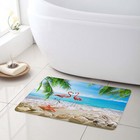 Coastal Blue Ocean Pink Flamingo Beach  Bath Mat Kitchen Floor Rugs 24x16 Inch